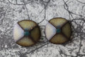tile earrings - small beveled circles